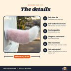 Wagging Car Tail