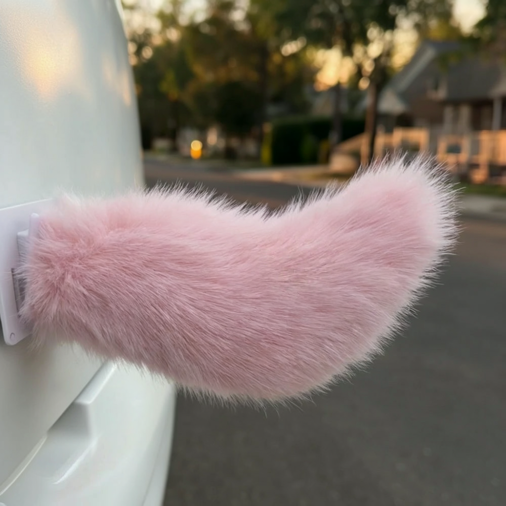 Wagging Car Tail