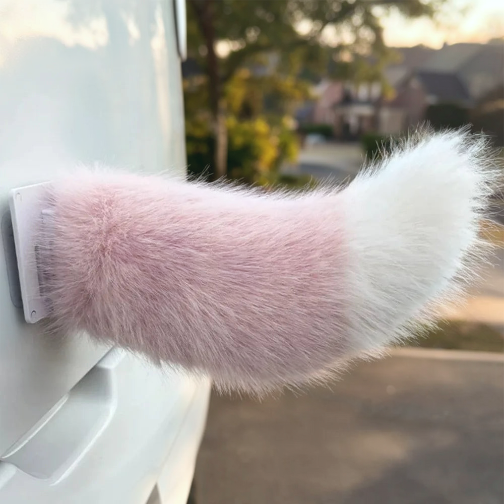 Wagging Car Tail