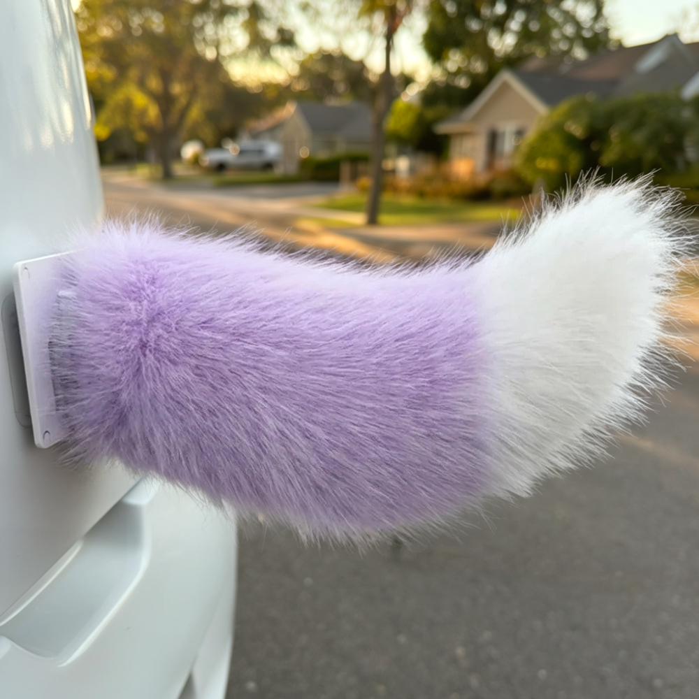 Wagging Car Tail